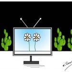 Cyprus_Cemal Tunceri (3)